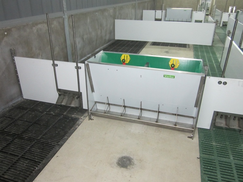 Duodrinker with SL feeding trough and special spill guard 2x2 duo drinker and SL673D KR with special anti-spill rim and feeding compartment dividers