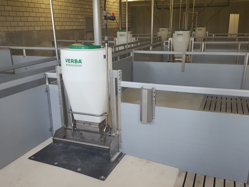 Speedfeeder 80 fattening pig feed trough Speedfeeder 80 built-in pig feeder