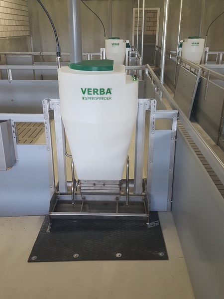 Speedfeeder 80 fattening pig feed trough Speedfeeder 80 pig feeder